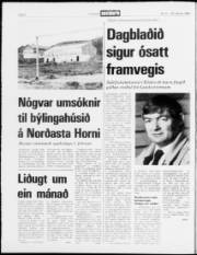 Síða 2