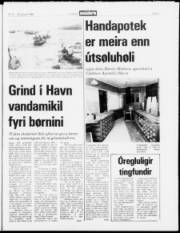 Síða 3