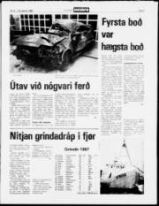 Síða 5
