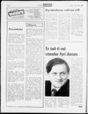 Síða 6