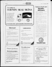Síða 20
