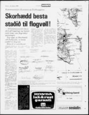 Síða 23