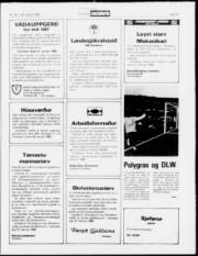 Síða 13