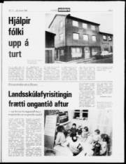 Síða 3