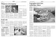 Síða 6