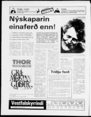 Síða 20