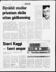 Síða 3