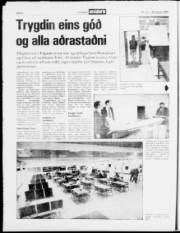 Síða 8