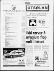 Síða 21