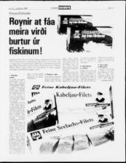 Síða 11