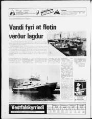 Síða 20