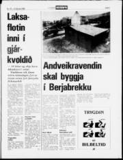 Síða 5