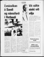 Síða 14