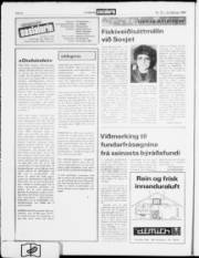 Síða 6