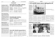 Síða 14