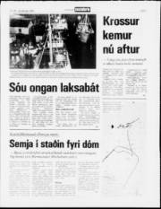 Síða 5