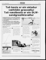 Síða 13