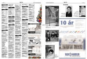 Síða 17