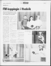Síða 19