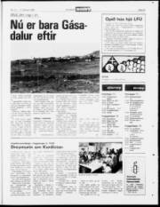 Síða 22