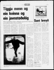 Síða 3