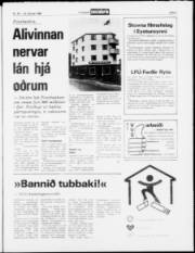 Síða 5