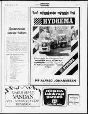 Síða 15