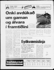Síða 24