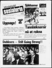 Síða 1