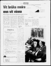 Síða 3