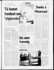 Síða 7