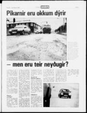 Síða 3