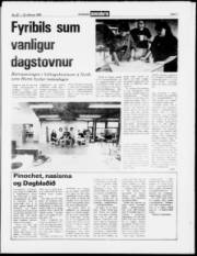 Síða 7