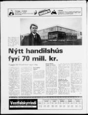 Síða 24