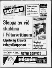 Síða 1