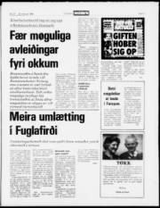 Síða 3