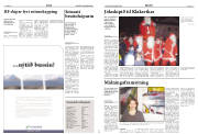 Síða 11