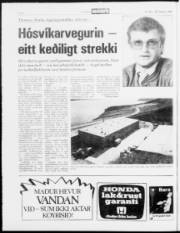 Síða 2