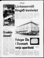 Síða 3