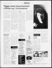 Síða 19