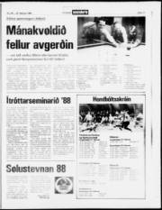 Síða 17