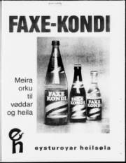 Síða 21