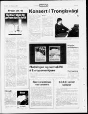 Síða 23