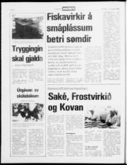 Síða 2