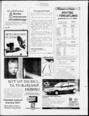 Síða 15