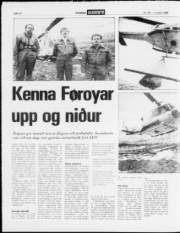 Síða 12