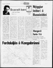 Síða 21