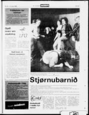 Síða 23