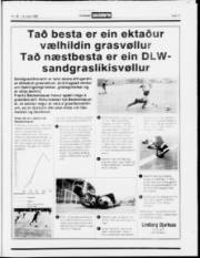 Síða 17