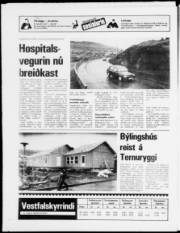 Síða 20
